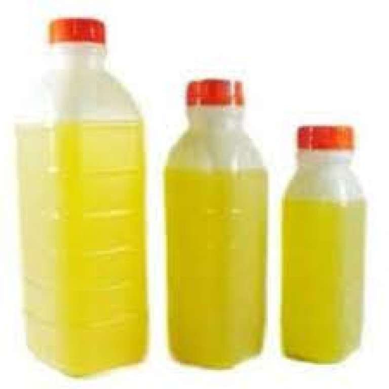 DECOPLAST - GARRAFA PLASTICA 0300 ML - PT.10UN